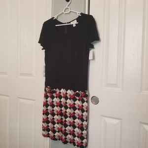 Ann Taylor Loft Dress (shirt & skirt combo)